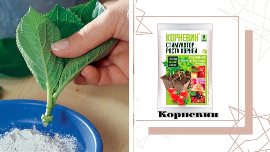 ВСЕ ПРОСТО